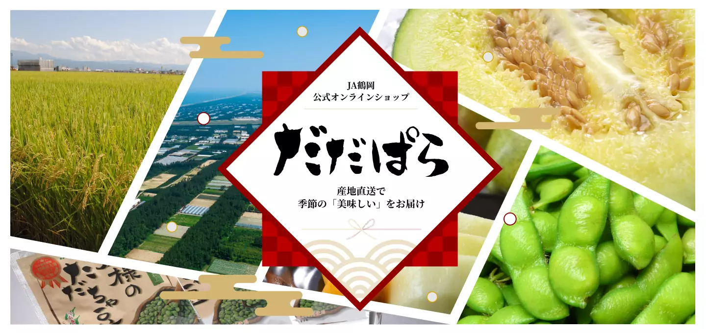 �����Ѥ鿷����å�