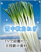 ��������ͤ�